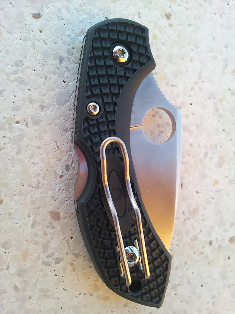 spyderco dragonfly 2 ZDP