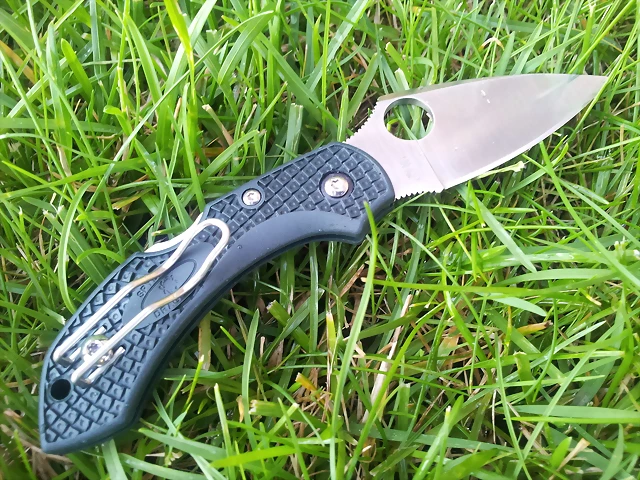 spyderco dragonfly 2 ZDP