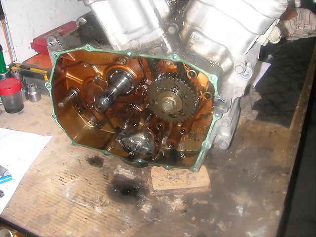 DSCN0172 DSCN0172