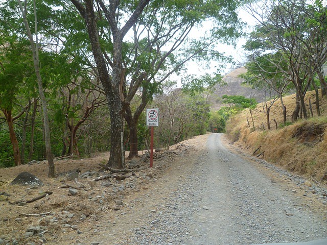 Monte Verde, Puntarenas, Costa Rica06