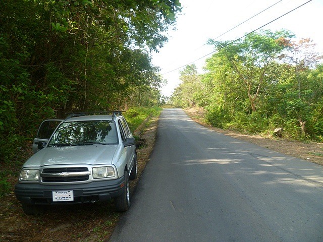 Monte Verde, Puntarenas, Costa Rica02