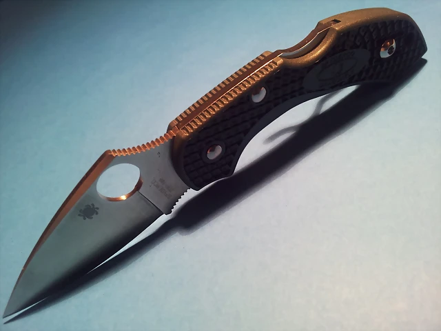 spyderco dragonfly 2 ZDP