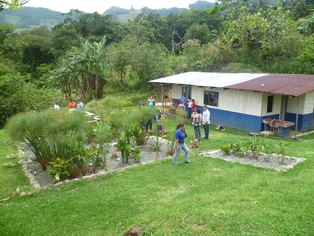 Monte Verde, Puntarenas, Costa Rica04