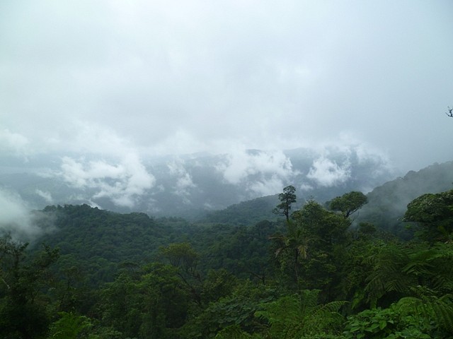 Monte Verde, Puntarenas, Costa Rica26