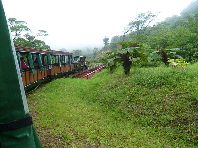 Monte Verde, Puntarenas, Costa Rica20