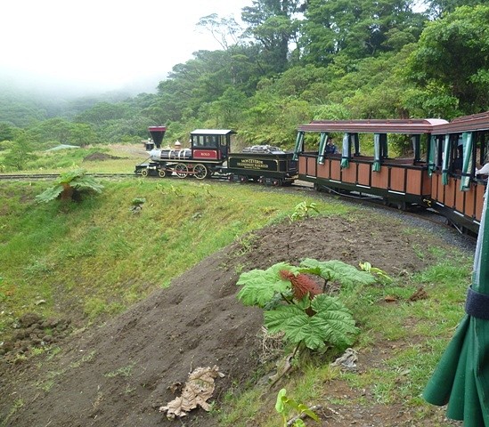 Monte Verde, Puntarenas, Costa Rica19