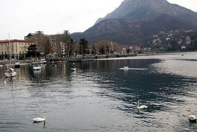 lago1