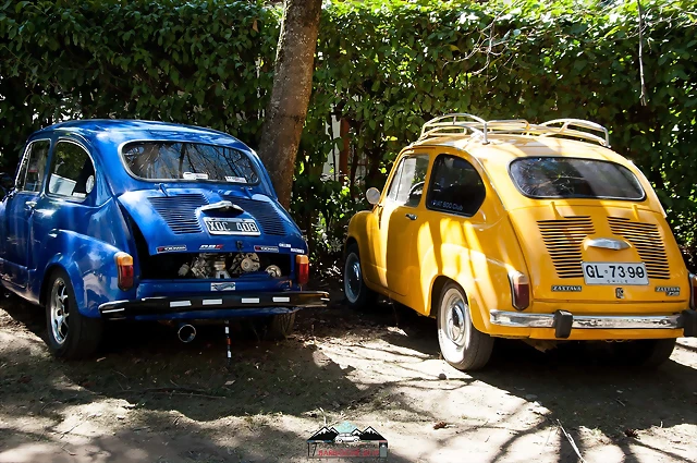 CAS_3531 CAS_3531