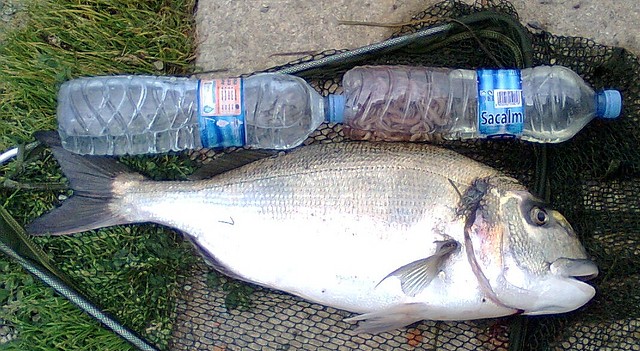 Mide dos botellas de agua