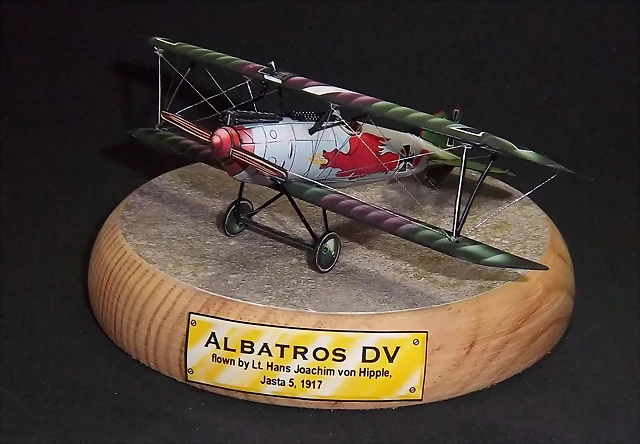 Albatros DV (49) Albatros DV (49)