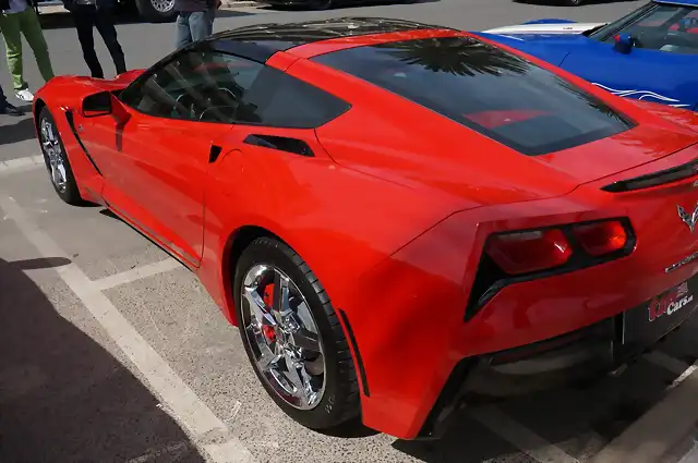 Stingray 04