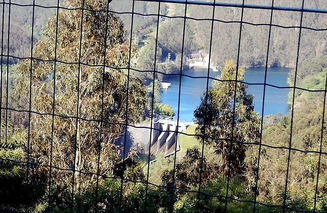 DSCN1644 DSCN1644