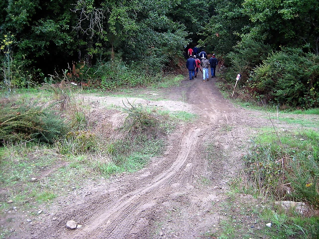 IMG_0583 IMG_0583