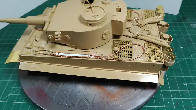 Tiger49