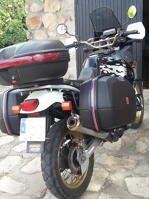 africa twin