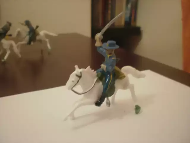 Aster. Foto 8. Soldado federal a caballo con sable