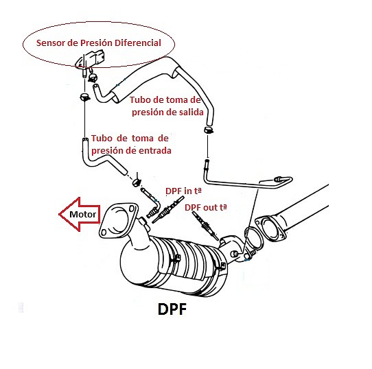 DPF NGV