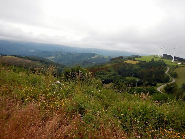 DSCN1261 DSCN1261