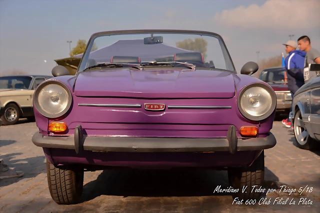 DSC_0428 DSC_0428