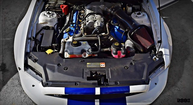 DSC_0656 DSC_0656
