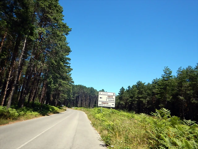DSCN3899 DSCN3899