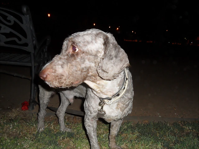 SAM_1534 SAM_1534