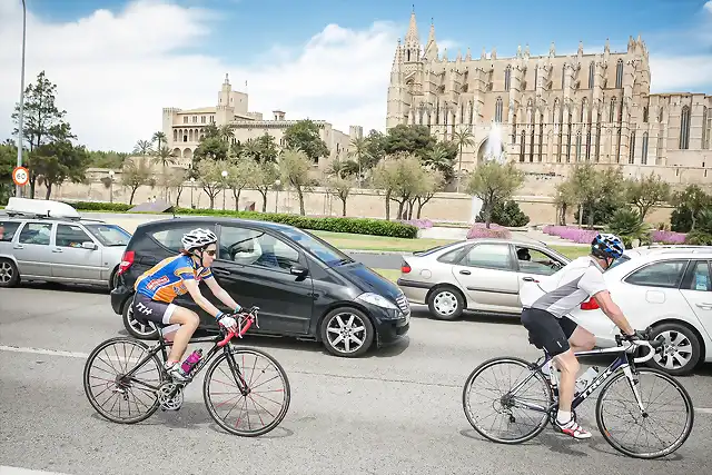 mallorca312-nuria catedral