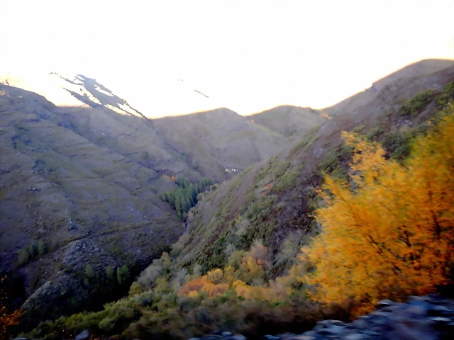 DSCN0036 DSCN0036