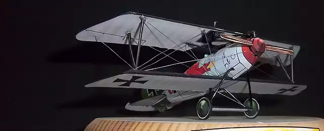 Albatros DV (54)