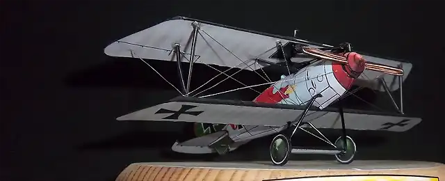 Albatros DV (54)