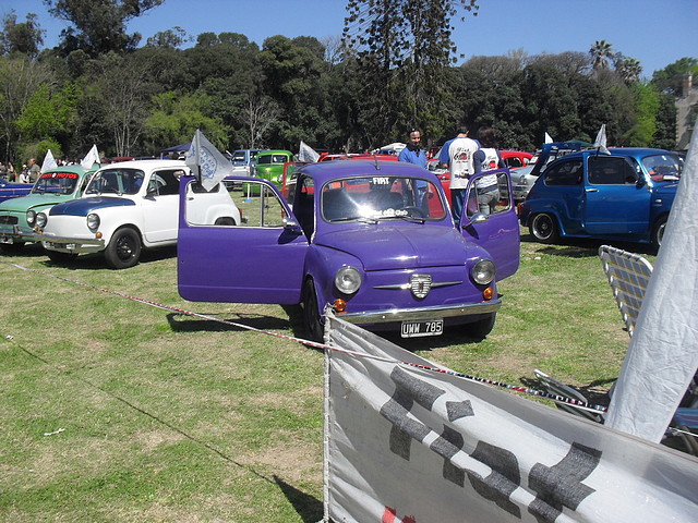 SDC13786 SDC13786