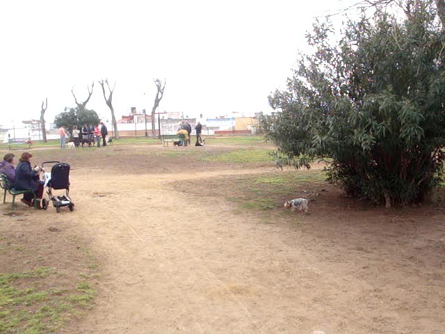 foro-Parque para perros en Huelva-15.02.14-J.Ch.Q 23