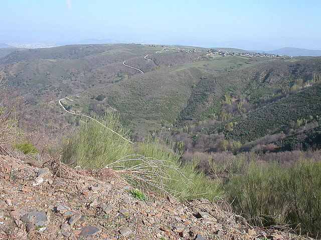 DSCN6524 DSCN6524