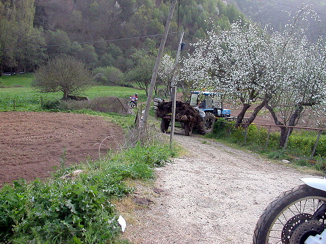 DSCN6407 DSCN6407