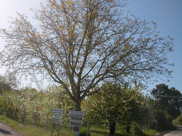 DSCN6513 DSCN6513