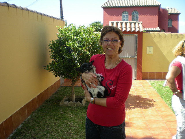 arroz 083 arroz 083