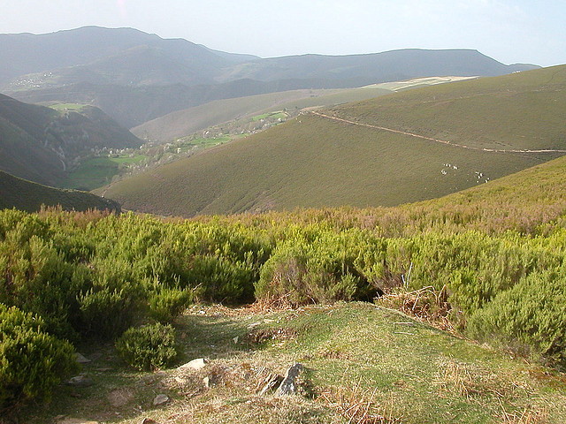 DSCN6438 DSCN6438
