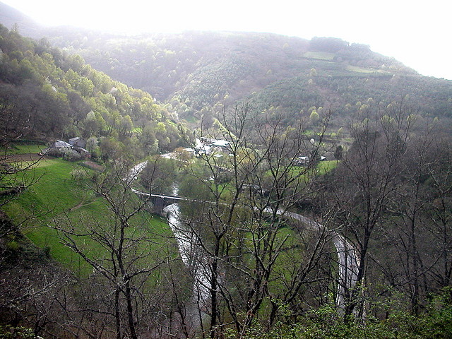 DSCN6399 DSCN6399
