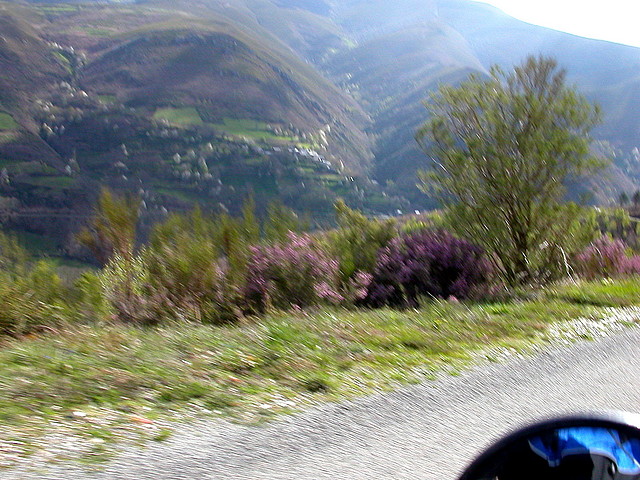 DSCN1626 DSCN1626