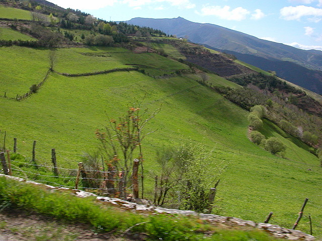 DSCN1635 DSCN1635