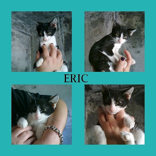 ERIC