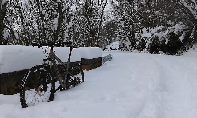 20160229_120319 20160229_120319