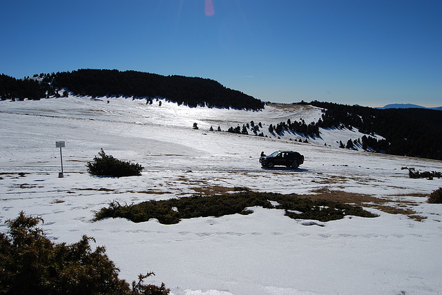 DSC_0068 DSC_0068