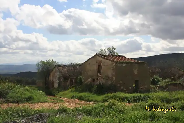 008, viejo cortijo, marca