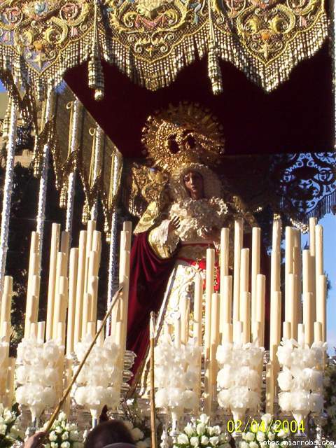 virgen pino montano