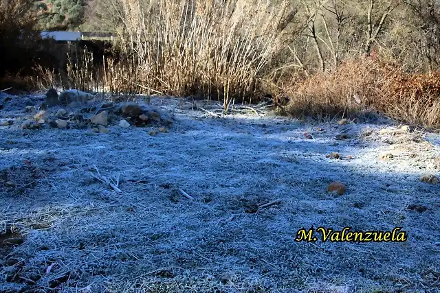 19, la lanzada, marca