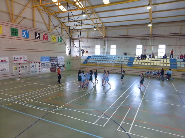 IFcase-celta IFcase-celta