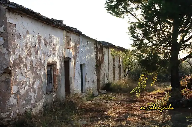 03, el sol de los membrillos 4, marca