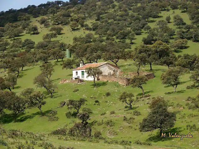 006, cortijo de macrino, marca