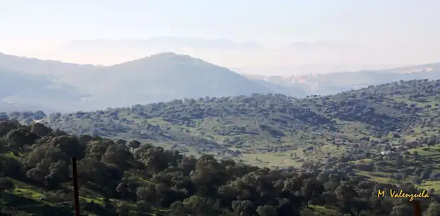 015, el pueblo desde la parrilla alta, marca